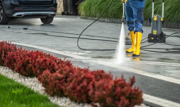 Best Driveway Pressure Washing  in Beech Island, SC